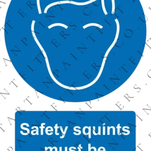 Safety Squints Sticker